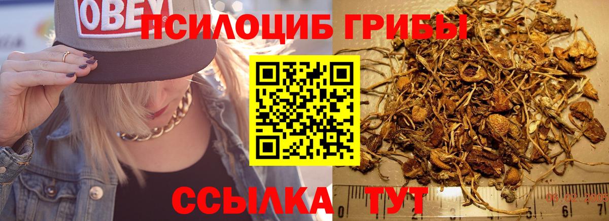 Кирово-Чепецк  Галлюциногенные грибы мухоморы  Вход с VPN  Псилоцибиновые грибы Magic Shrooms 