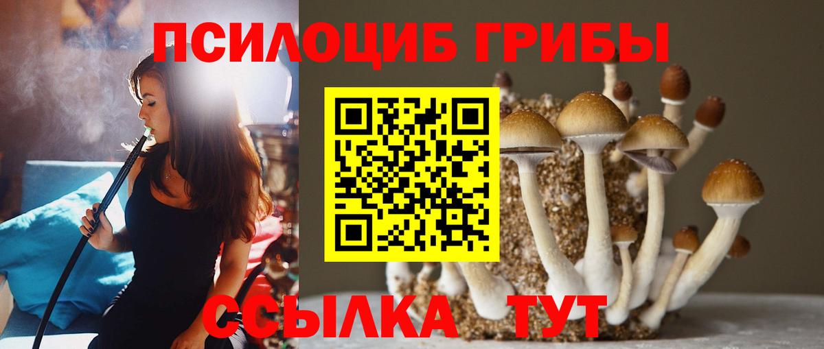Псилоцибиновые грибы мицелий Кирово-Чепецк